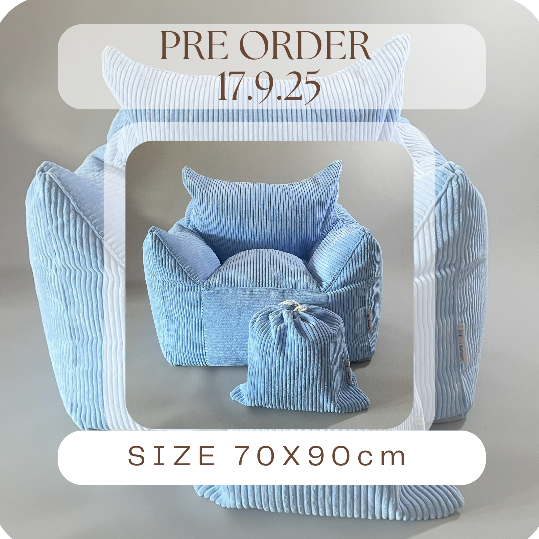 5 Available- Blue Lounger